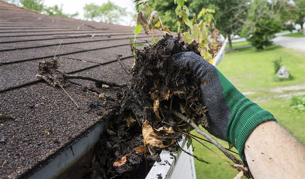 spring roof gutter cleaning