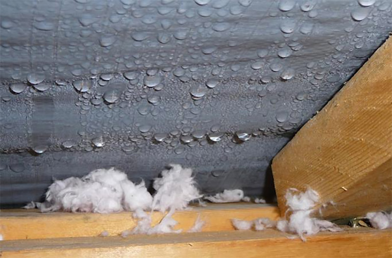 Effects of excessive moisture in roof in WA